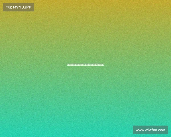 足球全球所有赛事全景总览世界杯欧洲杯各大联赛完整盘点